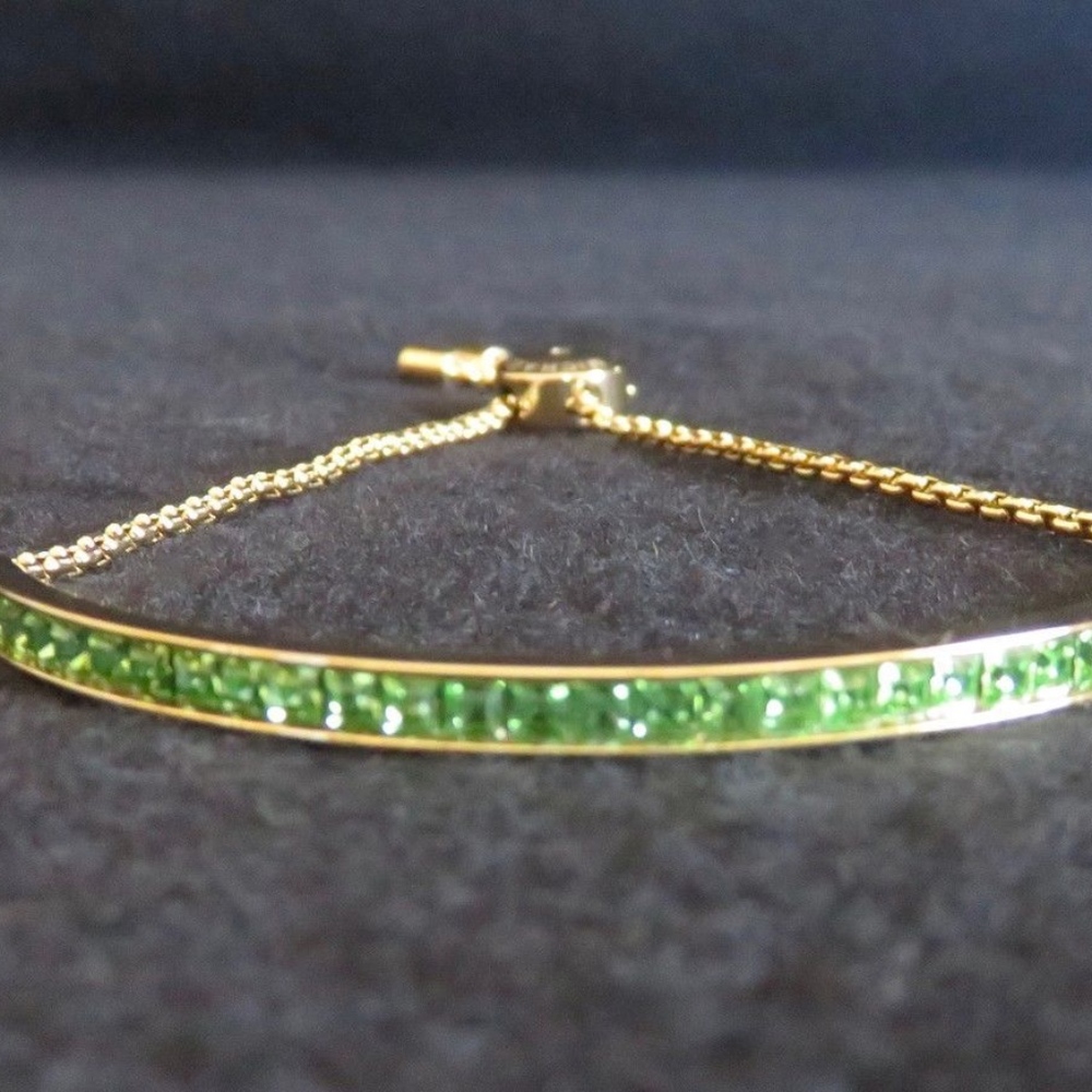 MICHAEL KORS MINT GR CRYSTAL ADJ. CHAIN BRACELET